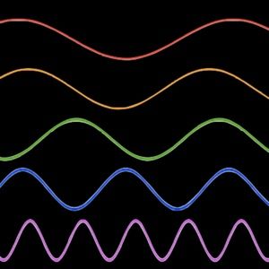 Meet your Posher, Leeann